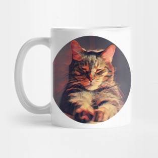 Active floppy cat Mug